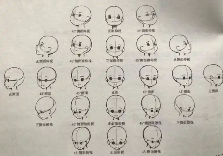 人物头部各种形态画法参考