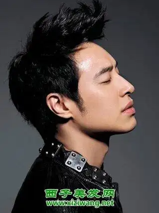 近几年十分的流行,这款潘玮柏演绎的潮感短发飞机头,就很是帅气有明星