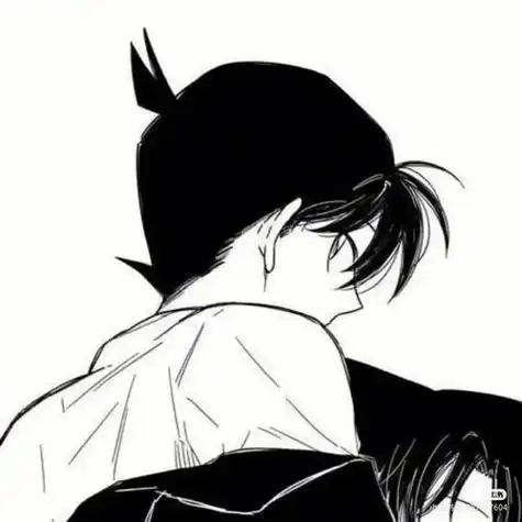 工藤新一与小兰情头 工藤新一cp情头高清