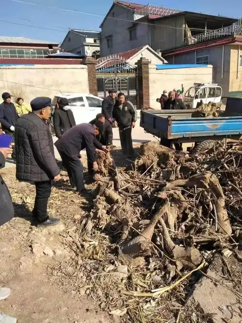 鹿邑县邱集乡掀起农村人居环境整治高潮助推美丽乡村建设