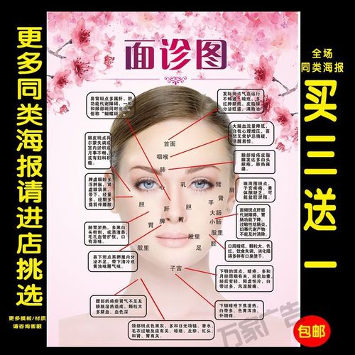 面诊图面部保养面部养生美容院装饰画养生馆海报脸部经络画