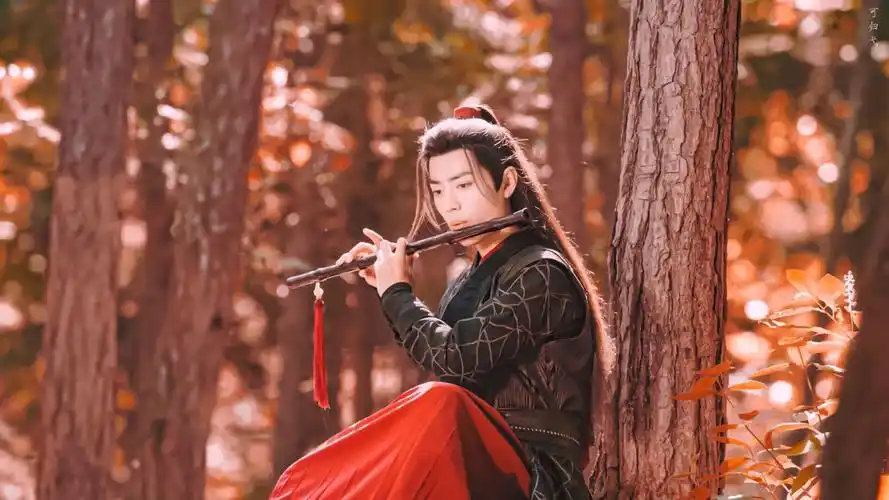 肖战│陈情令│魏无羡 - 堆糖,美图壁纸兴趣社区