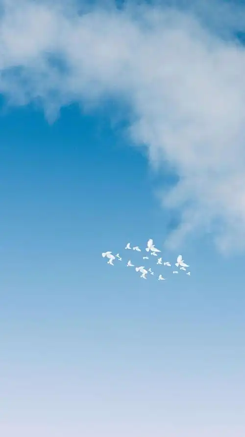 小清新蓝天白云风景手机壁纸