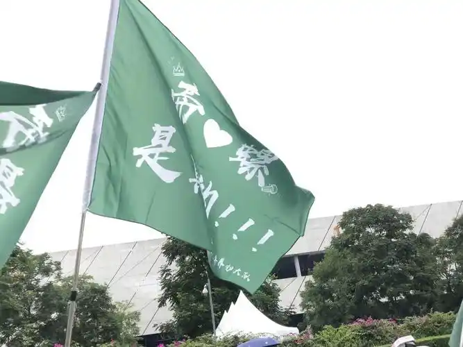 灯牌 大旗 注水旗 易拉宝之类的来自:眠纳多宁2021-07-26 13:57:11