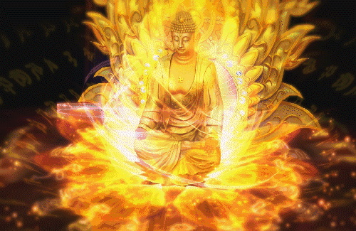 恭喜您!您可以进来接收西方三圣三道佛光!