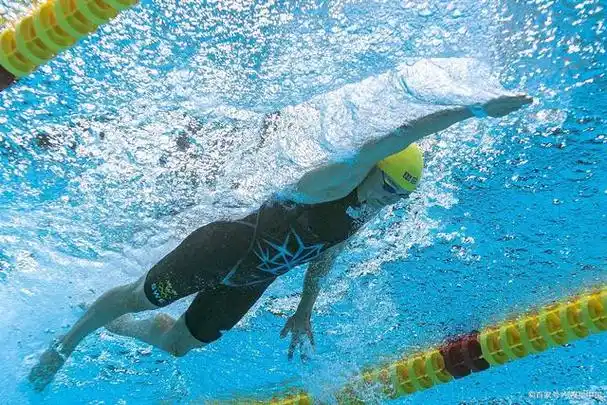 自由泳的简单介绍