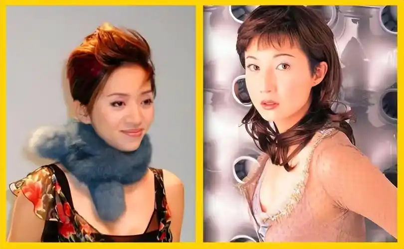 吴绮莉个人资料简历(吴绮莉吴绮莉个人资料简历:打错了算盘,女儿的