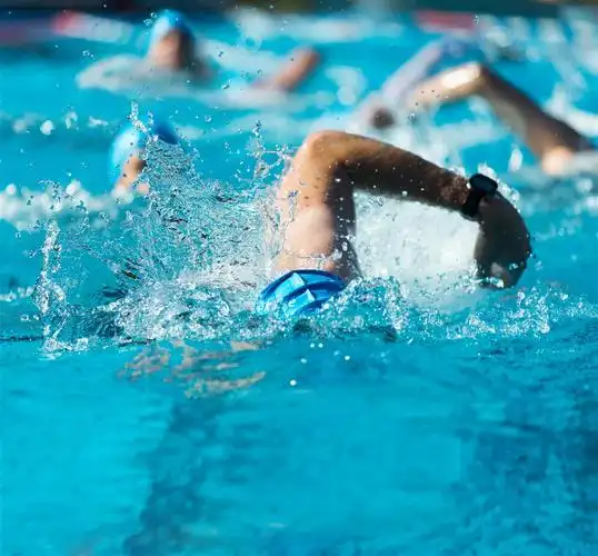 科学游泳,这么游更健康