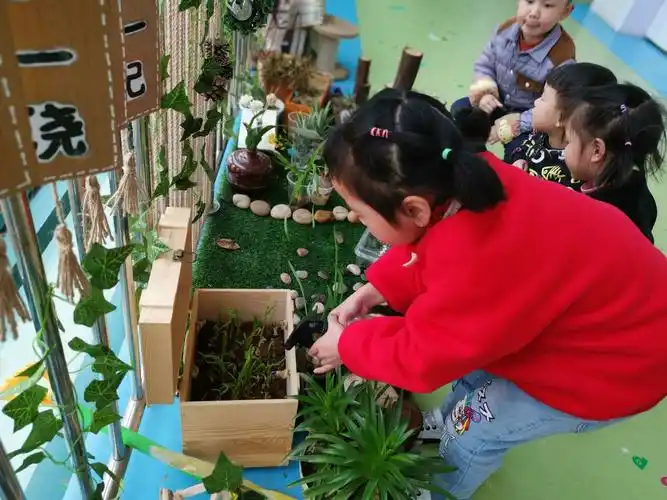 悠贝高湖幼儿园大b班植物角观察活动