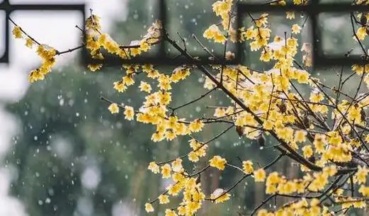 告别2020年迎接2021平安健康快乐才是幸福的真谛