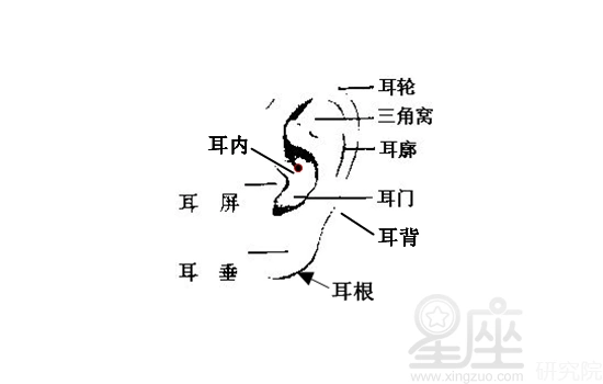 男人耳朵长痣面相图耳背有痣的男人易犯小人