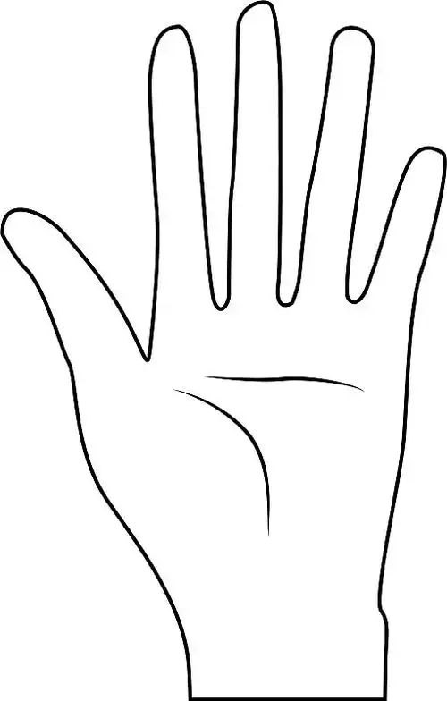 用所有的手指和手掌画出漂亮的手图片下载