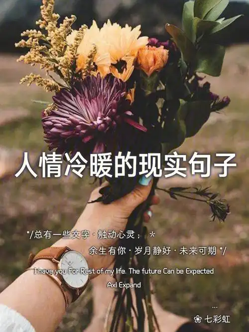 人情冷暖的短句