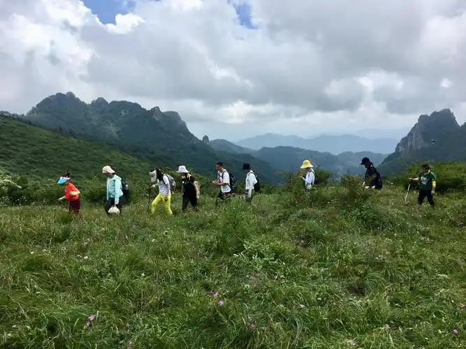 酷暑秦岭鸡窝子高山草甸纳凉