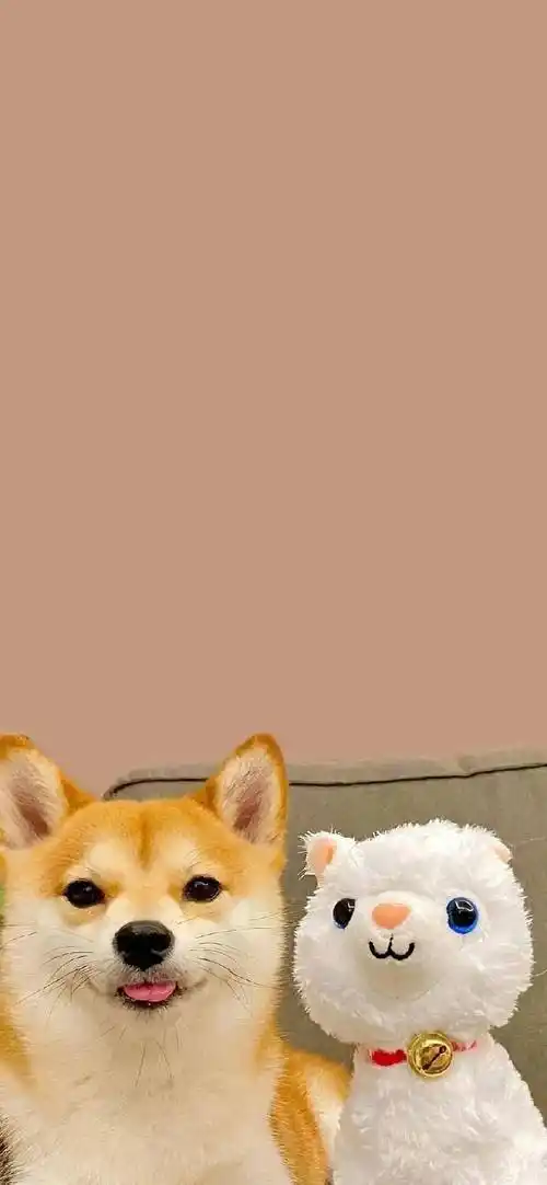 壁纸|ins高级感简约壁纸_何竟_都比_尼克·