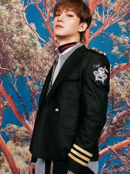 今天是唯一主唱chen exo单人预告公开