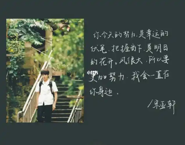 每日手写打卡  #手写摘抄  #每日摘抄  #宋亚轩一直会是宋亚轩