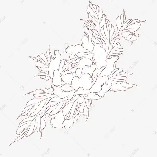 手绘植物花草手绘花线稿