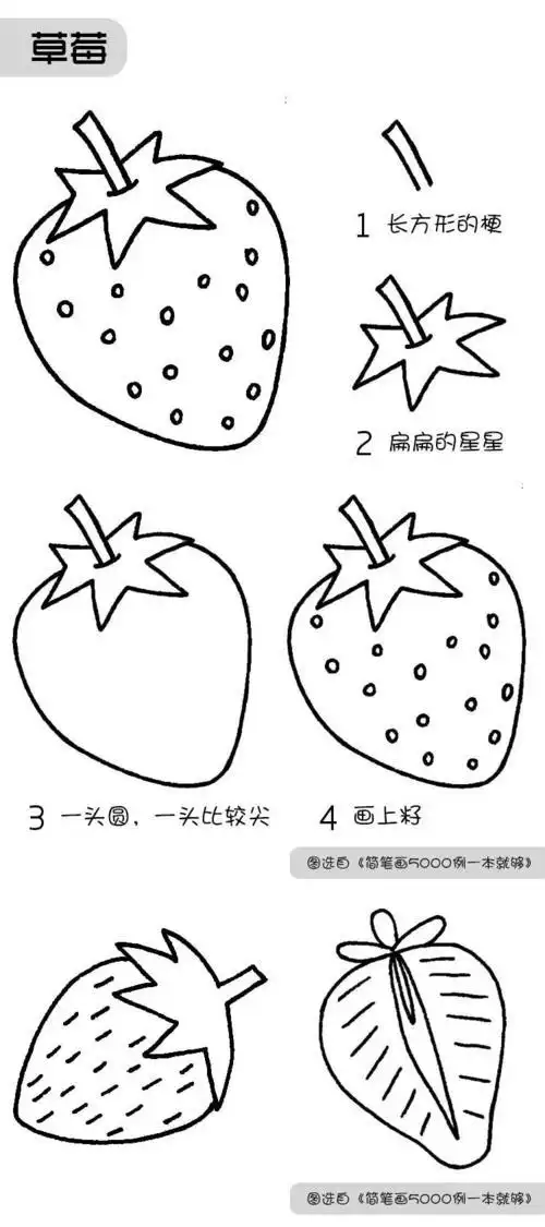 树简笔画儿童画简笔画临摹素材52张水果系列画法收藏备用在家学画画