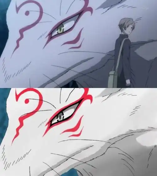 夏目友人帐中斑的全图