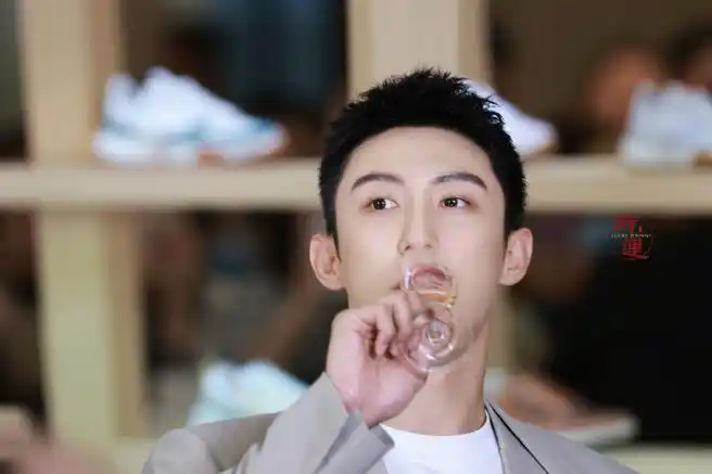 黄景瑜回东北了