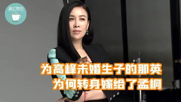 孟桐有几段婚姻及前妻个人资料 那英和孟桐有几个孩子 那英老公高峰