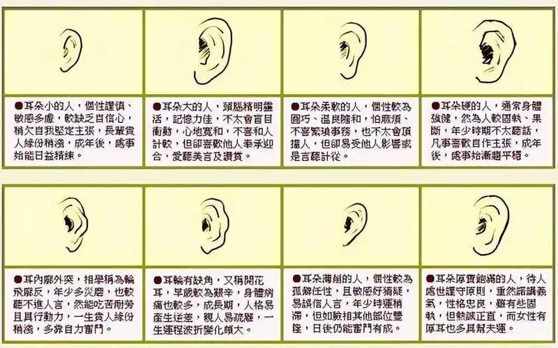 耳朵不同,命不同?