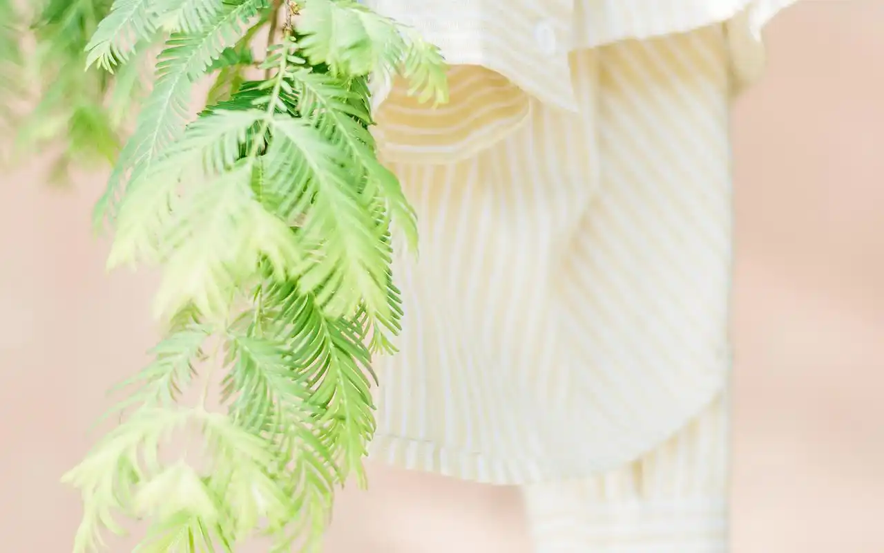 绿色小清新植物图片高清桌面壁纸