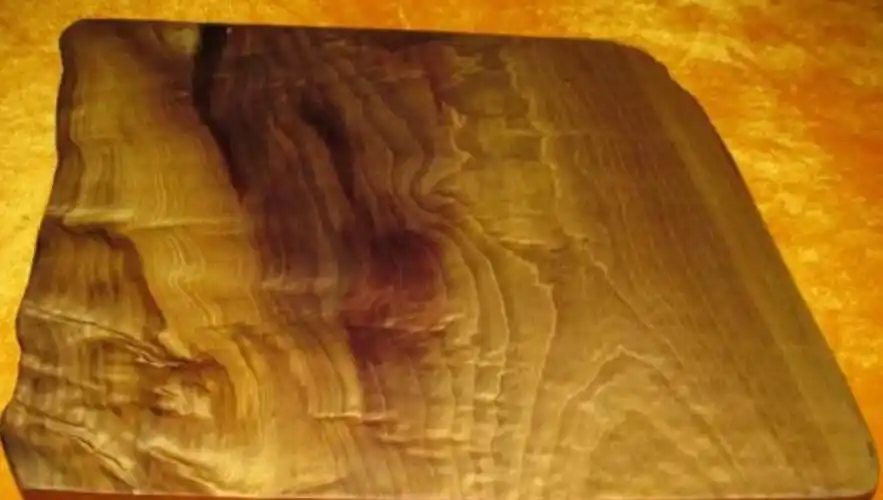 金丝楠木原木价格(一棵树值2) - 价格百科