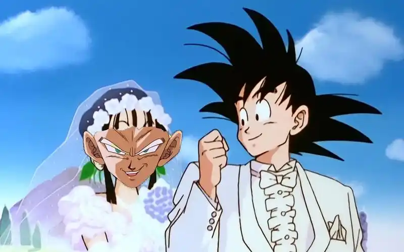 能和卡卡罗特在一起的只有我贝吉塔!