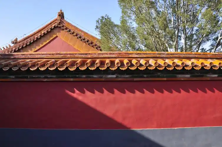 紫禁城的花事 - 简书