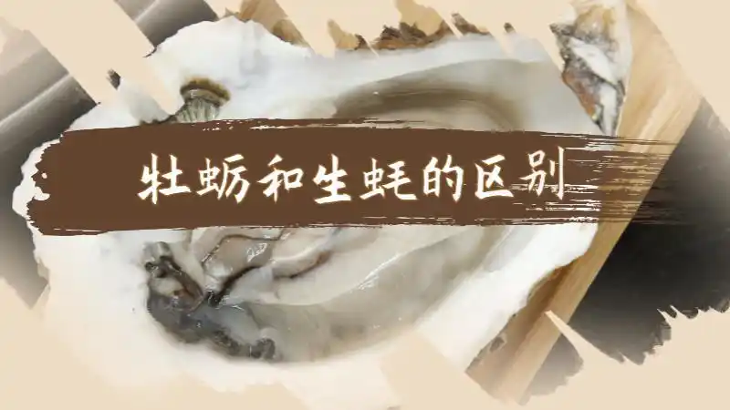 牡蛎和生蚝的区别