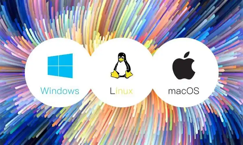 7w 0704030304€è080604086703"030105