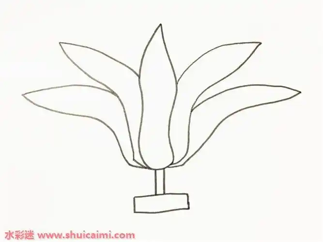 毽子怎么画毽子简笔画图片带颜色