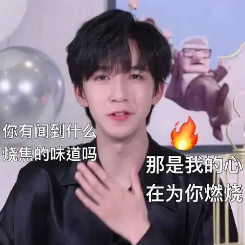 贺峻霖2021,爱霖如一