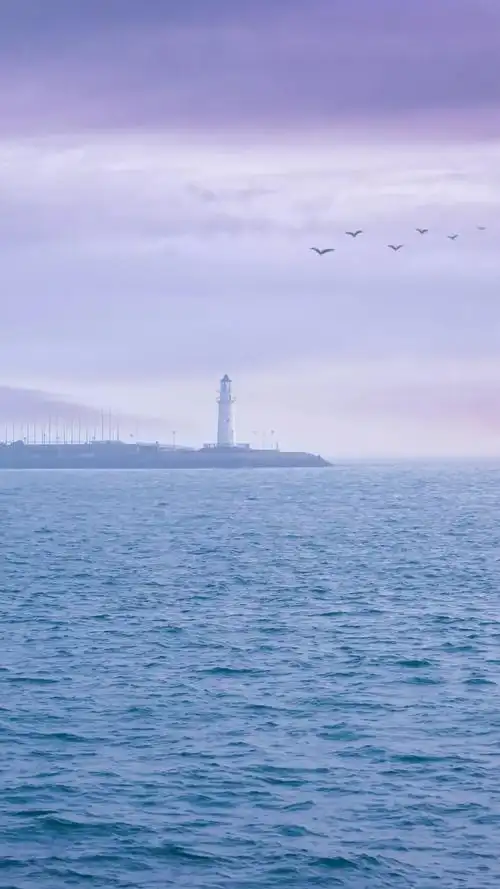 铃声 —— 除了一组唯美的壁纸 推荐的铃声也很美 来自动画片