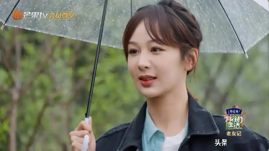 《向往5》膨胀了?杨紫张艺兴八卦带火节目后,开始付费观看了?_生活