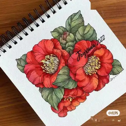 美出圈的水彩线描装饰画!冷暖搭配,疏密有度,色彩清新,让人大饱眼福!