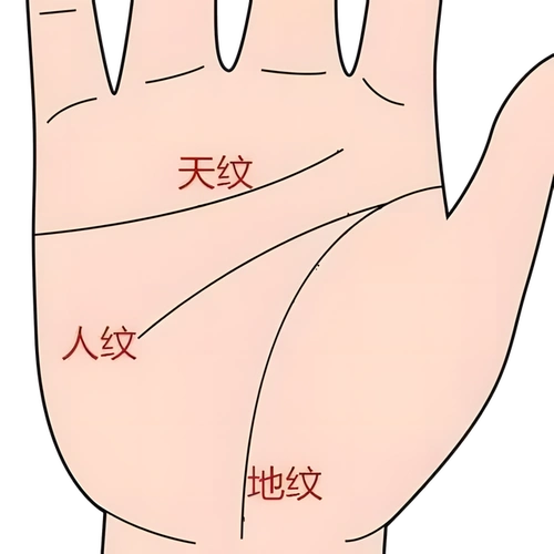 手相第三课——性格(2)