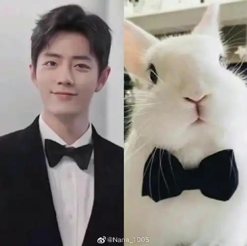 肖战#|#兔系艺人图鉴#携兔子队长本兔给大家拜年啦~兔年大吉!