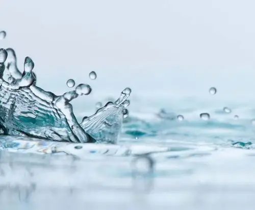 夏日水滴摄影图片桌面壁纸