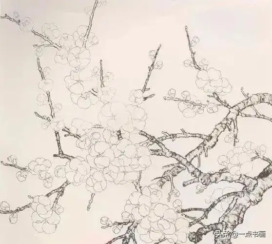 书画联盟丨工笔画杏花绘制步骤示范图文