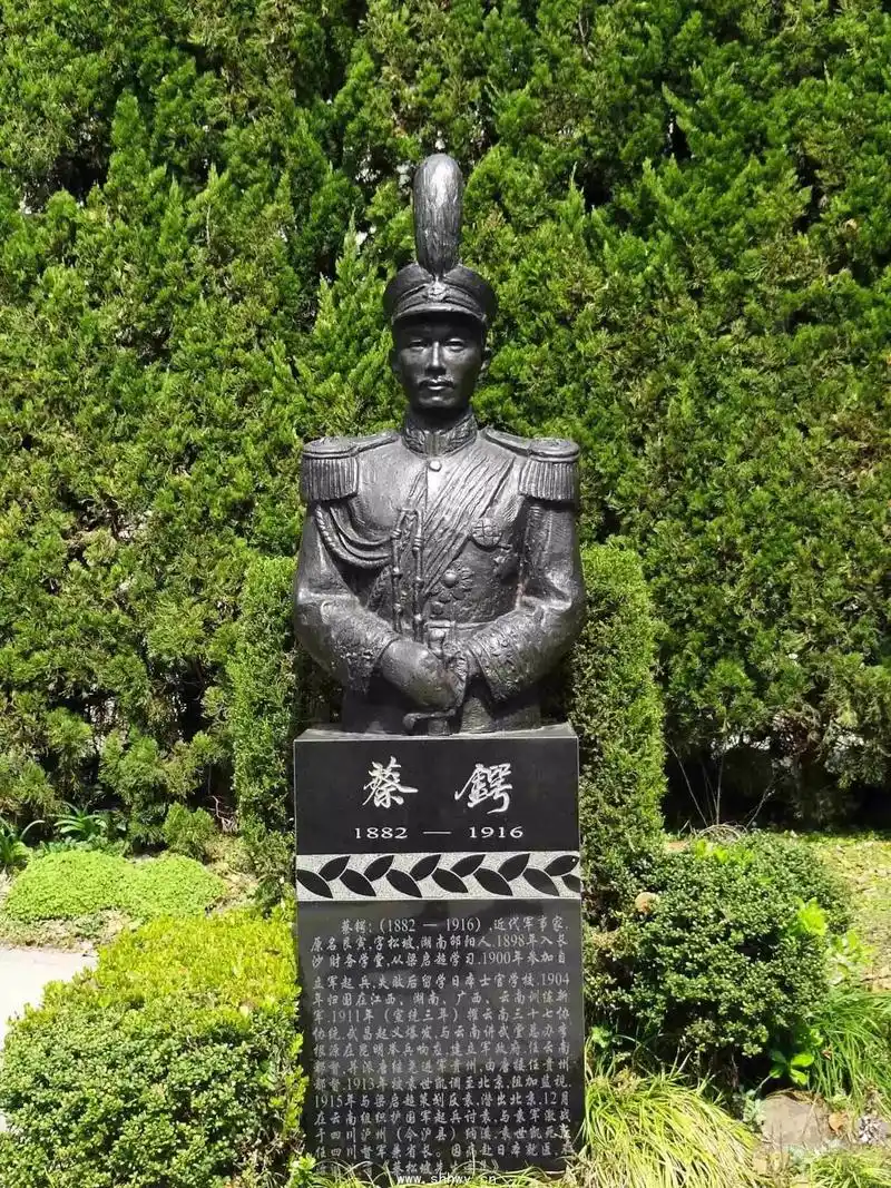 蔡锷到底有多厉害?袁世凯用一句话评价他,比孙中山评价还高_云南