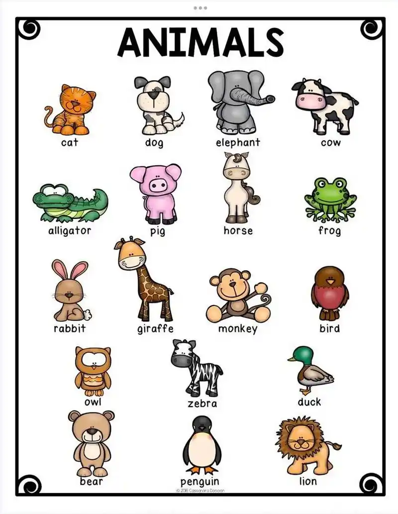 少儿英语词汇/animals动物(图文版) 73cat猫  dog狗   elephant大象