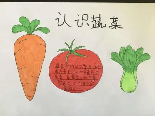 我和蔬菜交朋友