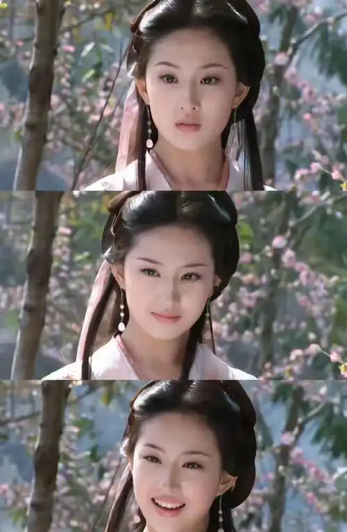 从刚刚出道《金粉世家》《天龙八部》《仙剑奇侠传》《神雕侠侣》《梦