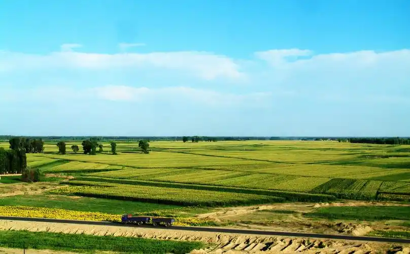 塞上"引"河套 逐绿"秀"崛起