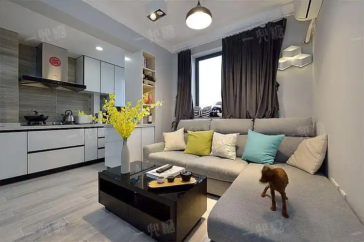 家的装修效果图