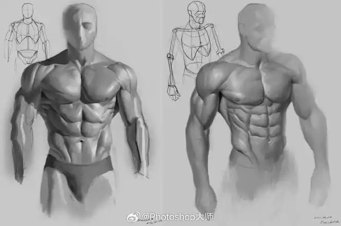 人体肌肉绘画参考