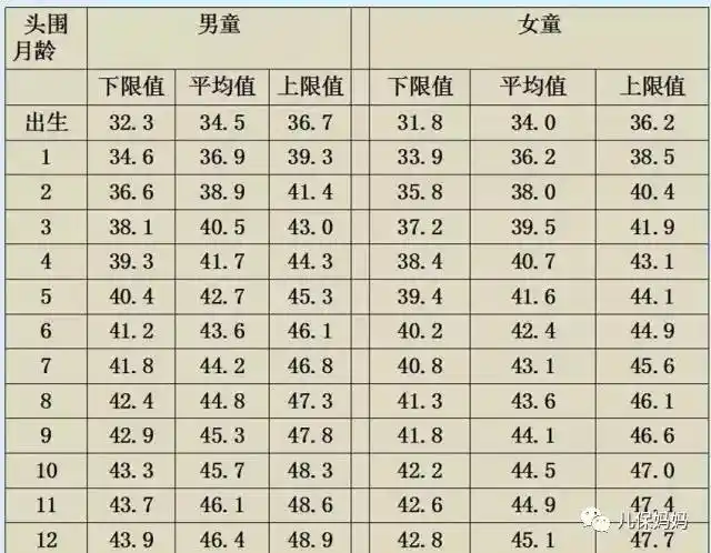 小头爸爸,大头儿子,头围大小知多少?